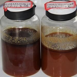 Distilled-tall- oil